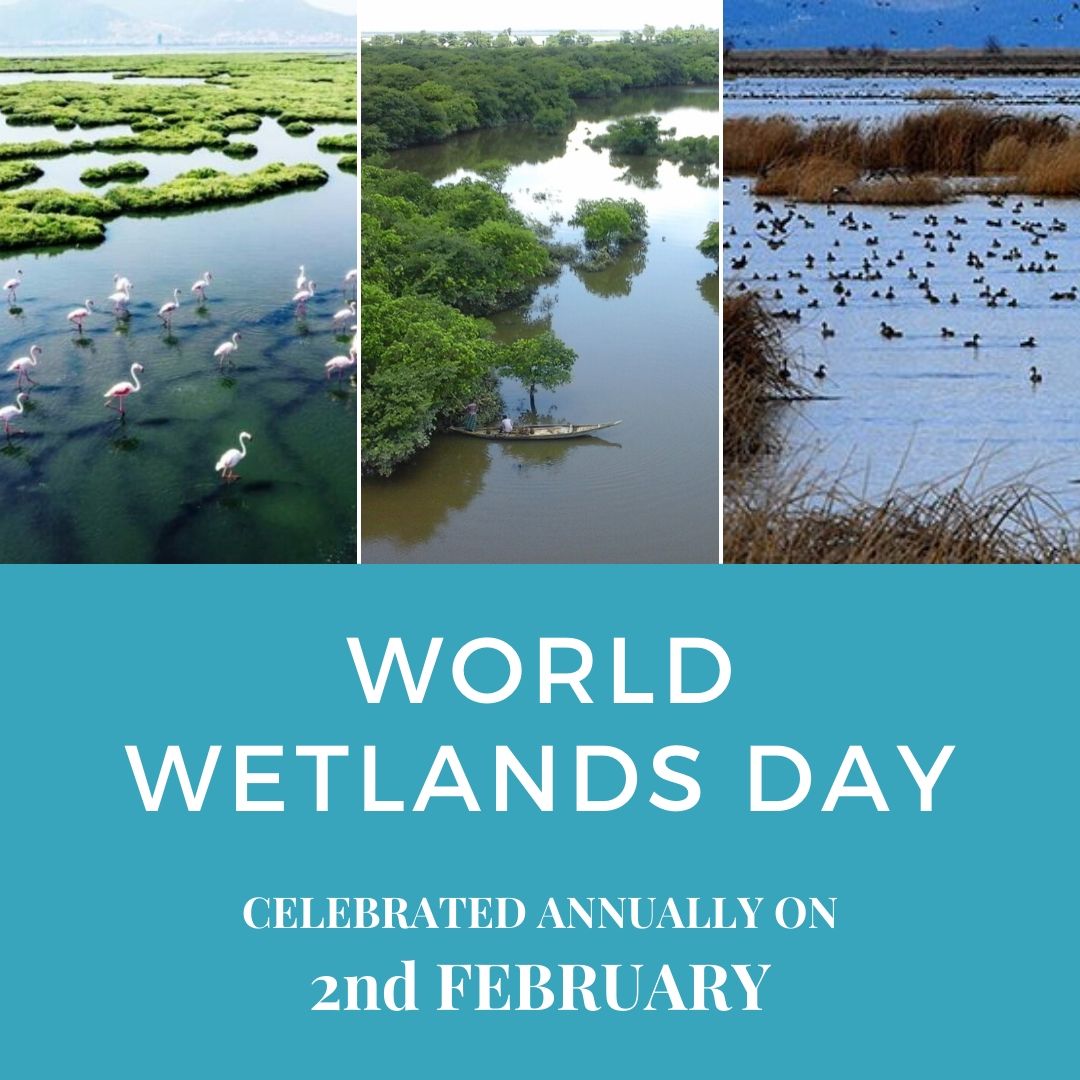 2월 2일, 세계 습지의 날 (世界 濕地의 날 , World Wetlands Day) 크리스천 라이프 에듀 라이프