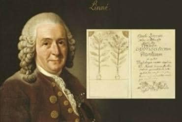 1707년 5월 23일, 현대 ‘식물학의 시조’ 칼 폰 린네 (Carl von […]