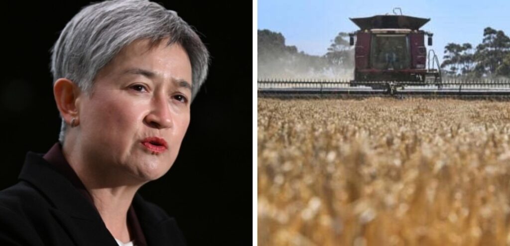 호주·중국, 보리 관세분쟁 해결하기로…WTO 절차도 중단 “중국, 관세 재검토…합의 안 되면 WTO 절차 재진행”
