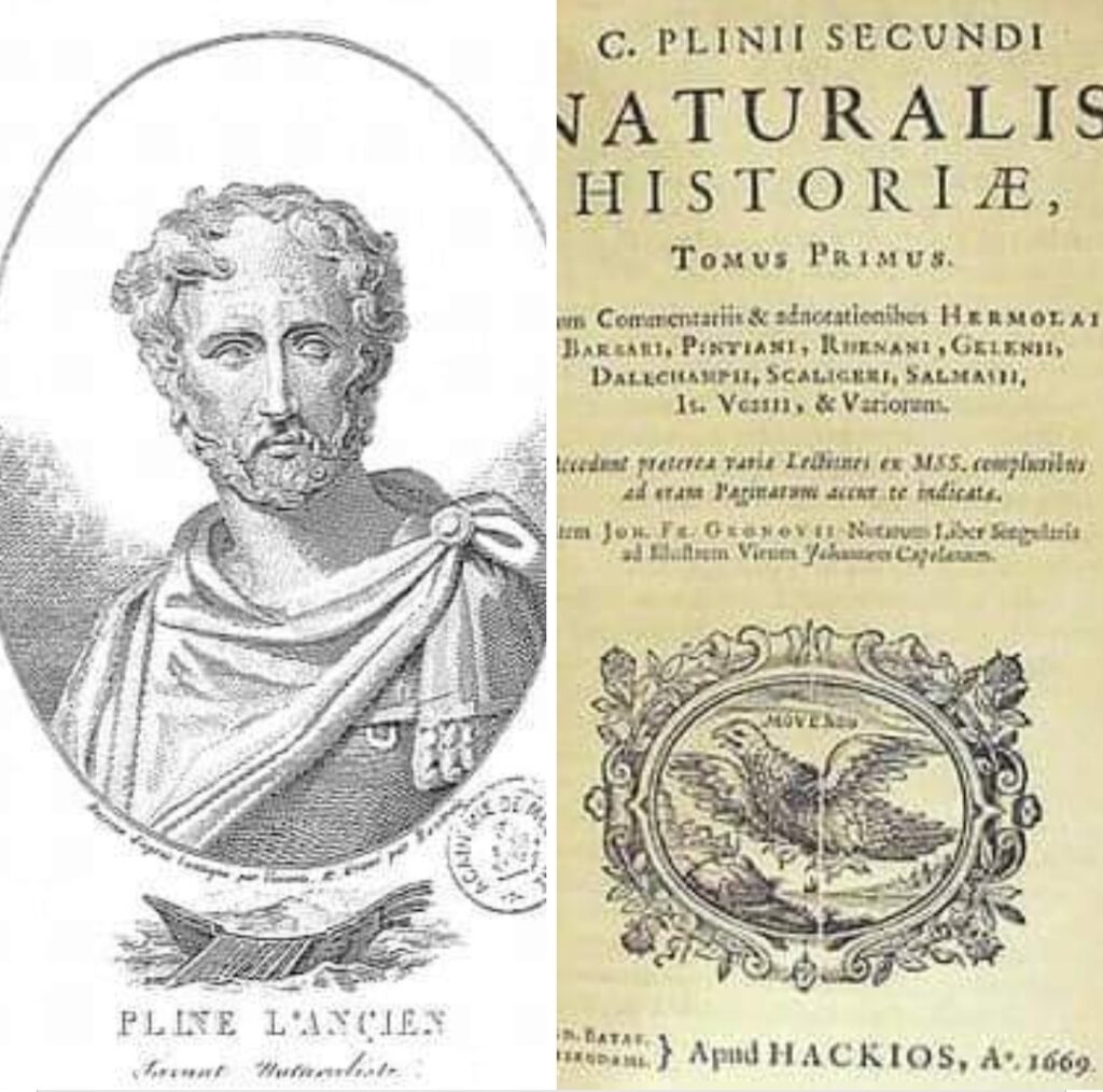 79년 8월 24일, 고대 로마의 박물학자•정치인•군인 가이우스 플리니우스 세쿤두스 (Gaius Plinius Secundus Major, 23 ~ 79) 별세