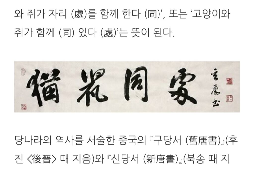 2021년 올해의 사자성어 – 묘서동처 (猫鼠同處)