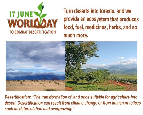 6월 17일, 세계 사막화와 가뭄과의 투쟁의 날 (World Day to Combat Desertification and Drought)