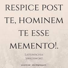 Lateinisches Sprichwort: Respice post te, hominem te esse memento! | das BlogMagazin