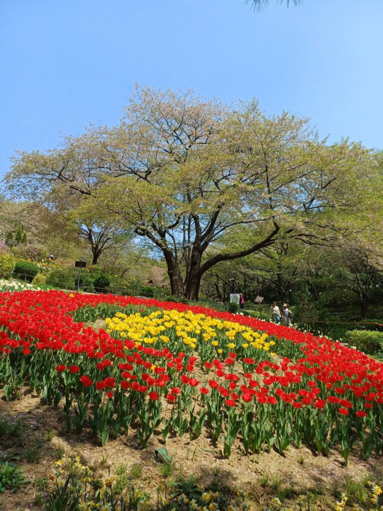 전현구 목사의 걷는 기도 – 걷는 기도 (26)