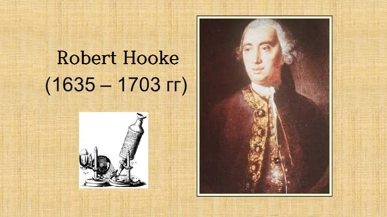 1635년 7월 28일, 영국의 자연 철학자 · 박물학자 · 과학자 ‘로버트 훅’ (Robert Hooke FRS, 1635 ~ 1703) 출생