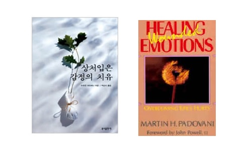 독서토론모임 시드니시나브로 – ‘상처 입은 감정의 치유’ (Healing Wounded Emotions)를 읽고