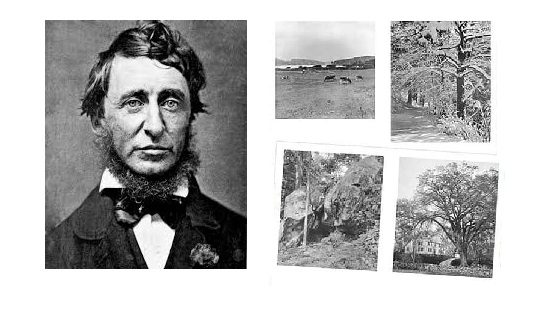 생태주의자의 효시, 헨리 데이비드 소로우 (Henry David Thoreau, 1817 ~ 1862)