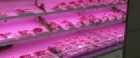 식약처 한·호주, 전자위생증 도입 협약 체결 – 수입자 시간적‧경제적 부담 해소, 적용 품목 확대 추진