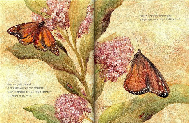 박광하의 생명과학 이야기 – 동물의 방향감각 및 회귀본능(2)