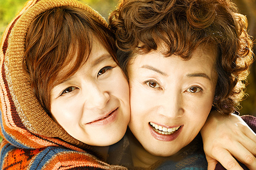 민들레 단상 – 효, 새롭게 바라보기